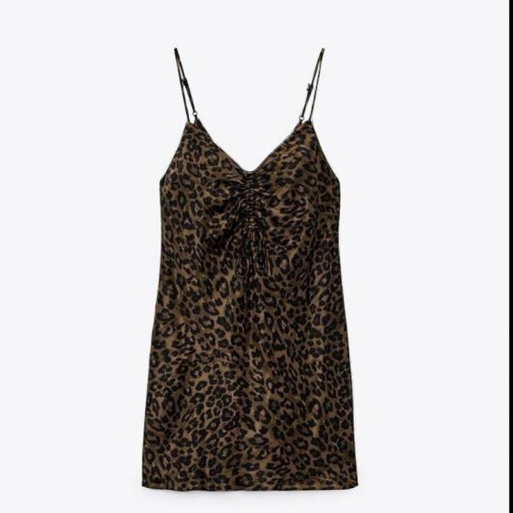 Zara Leopard Print Mini Dress in Brown and Black